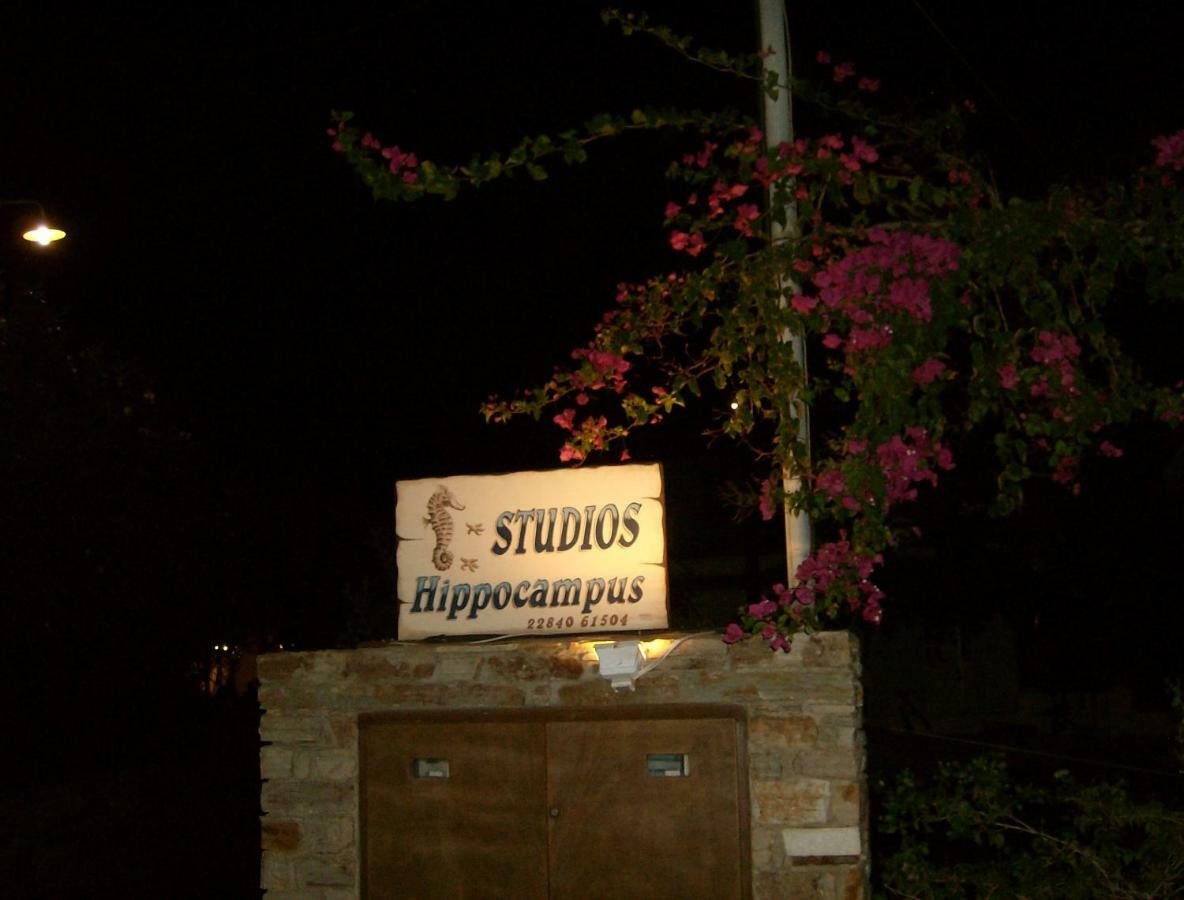 Hippocampus Studios Andíparosz Póli Kültér fotó